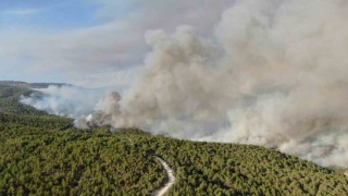 Kastamonudaki orman yangını sürüyor: Kuvvetli rüzgar yangının enerjisini arttırdı