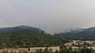 Kastamonudaki orman yangınına müdahale böyle görüntülendi