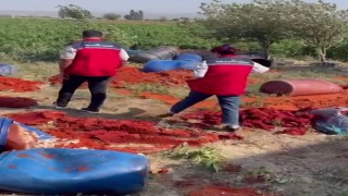 Katkı maddesi kullanılarak üretilen tonlarca domates posasına ve biber salçasına el konuldu