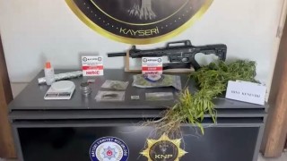 Kayseride 287 kök kenevir ele geçirildi: 1 gözaltı