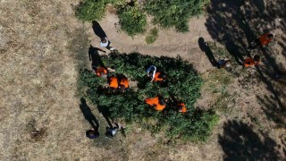 Kayseride ilkokul öğrencileri meyve bahçelerinde üretim yapıyor