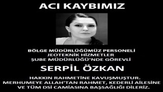 Kazada hayatını kaybeden kadının mühendis olduğu olduğu ortaya çıktı