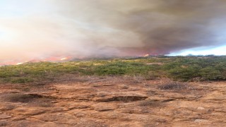 Kepsutta orman yangını başladı