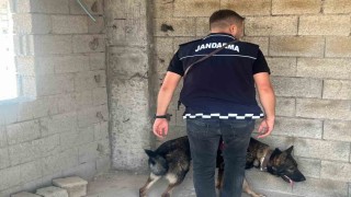 Kiliste okul önlerinde trafik ve asayiş tedbirleri uygulandı