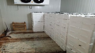 Kilolarca balığa el konuldu