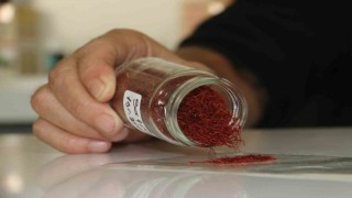 Kilosu 250 bin liradan satılan safranın mısır püskülünden sahtesini yaptılar