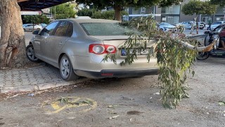 Kırılan ağaç dalı otomobile zarar verdi