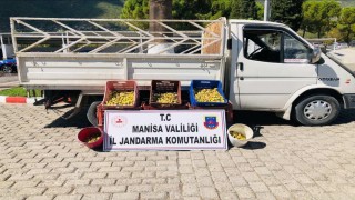 Kırkağaçta meyve bahçesinden incir çalan 5 kişi suçüstü yakalandı