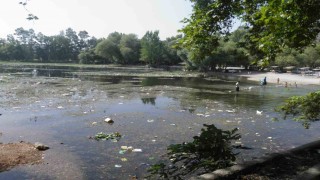 Kırkgözde çevre duyarlılığı