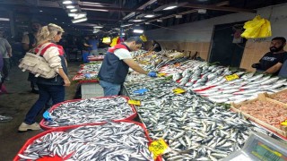 Kırklarelinde balıkçılara denetim