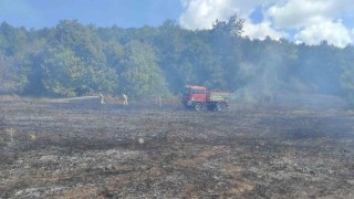 Kırklarelinde örtü yangını: 25 dekar alan zarar gördü