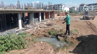 Kocaelide 19 milyon metrekarelik alan zararlılardan arındırıldı