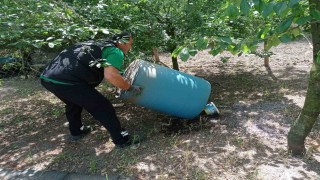 Kocaelide dört mevsim sivrisineğe geçit yok