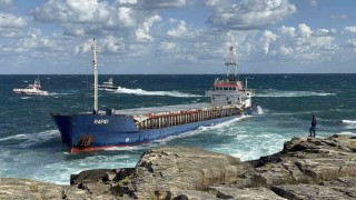 Kocaelide kargo gemisi karaya oturdu