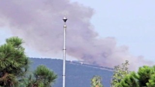 Kocaelide ormanlık alanda yangın çıktı