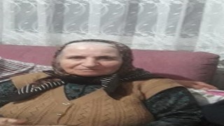 Kocaelide otomobilin çarptığı yaşlı kadın hayatını kaybetti