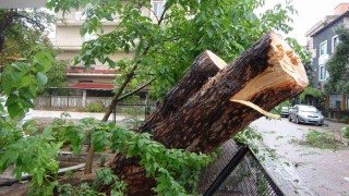 Kocaelide sağanak: Yıldırım evin çatısına düştü