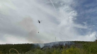 Kocaelideki orman yangını 1 saatte kontrol altına alındı