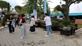 Kocaeliden Sakaryaya yeşil çıkarma