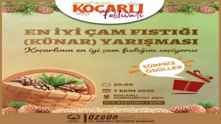 Koçarlıda çam fıstığının en iyisi seçilecek