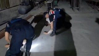 Konteynere iklimlendirme sistemi kurup uyuşturucu yetiştirdiler