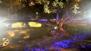 Kontrolden çıkan otomobil zeytin bahçesine girdi: 1 yaralı