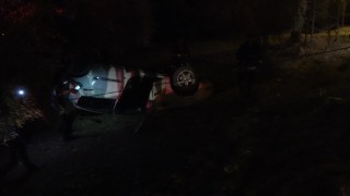 Kontrolden çıkan otomobil zeytin tarlasına girdi: 1 yaralı