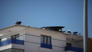 Konyada 5 katlı apartmanda yangın paniği