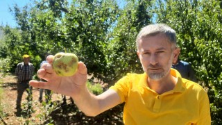 Konyada dolu etkili oldu, bahçeler büyük zarar gördü