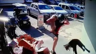 Köpeğiyle kavga eden kediyi tekmeyle metrelerce havaya fırlattı