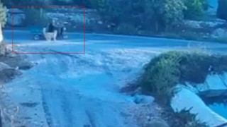 Köpek saldırınca motor devrildi