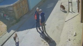 Köpeklerimi sen mi şikayet ettin diyerek yaşlı adamı tekme tokat dövdü