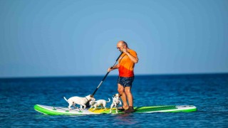 Köpekleriyle deniz keyfi