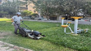 Körfezde park ve bahçelere bakım işlemi
