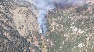 Köyceğiz yangını kontrol altında