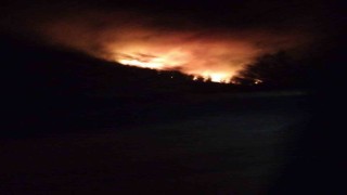 Köyceğizde orman yangını