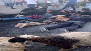 Koyun sürüsüne çarpan insan kaçakçısı, aracı ve göçmenleri bırakıp kaçtı