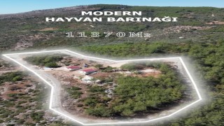 Kozan Belediyesi modern hayvan barınağı projesinde sona gelindi