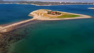 Kuraklık sevgi yolunu ortaya çıkarttı