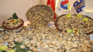 Kuru incir ihracatında, üretici üzerine kirli oyun iddiası