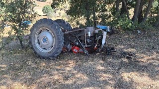 Kuşburnu toplamaya gitti, dönüşte canından oldu