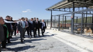 Kütahya Valisi Işından Şaphanede yapımı tamamlanan hayvan barınağında inceleme