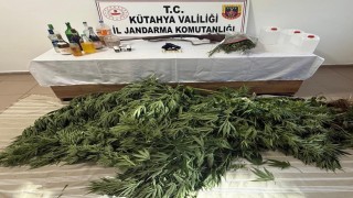 Kütahyada jandarmadan uyuşturucu ve kaçakçılık operasyonu