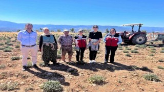 Kütahyada ürünlerin organik geçiş sertifikasyon işlemleri için parsel kontrolleri ve numune alımları