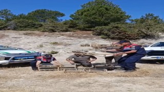 Kütahyada yakalanan 142 saka kuşu doğaya salındı