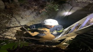 Kuyuya düşen köpeği itfaiye kurtardı