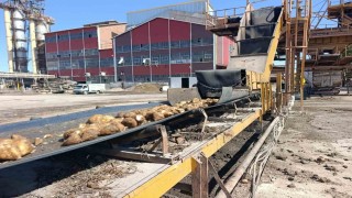 Malatya Şeker Fabrikasında 62 bin ton şeker üretimi hedefleniyor