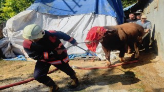 Malatyada korkutan ahır yangını