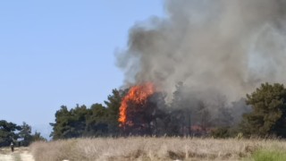Manavgatta arazide başlayan yangın ormanlık alana sıçradı