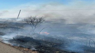 Manyas Kuş Cenneti yakınında yangın paniği